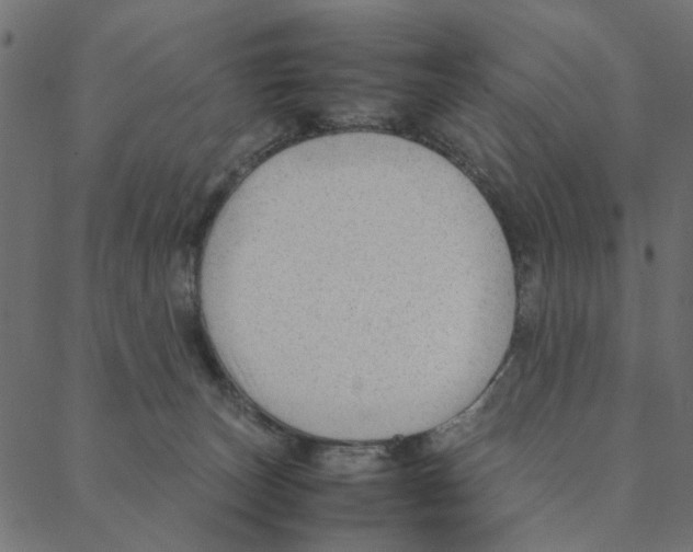 X0000087390179200705181316