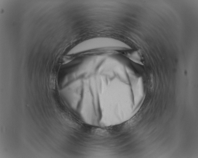 X0000087390180200705181316