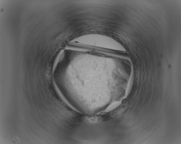 X0000087390181200705181316