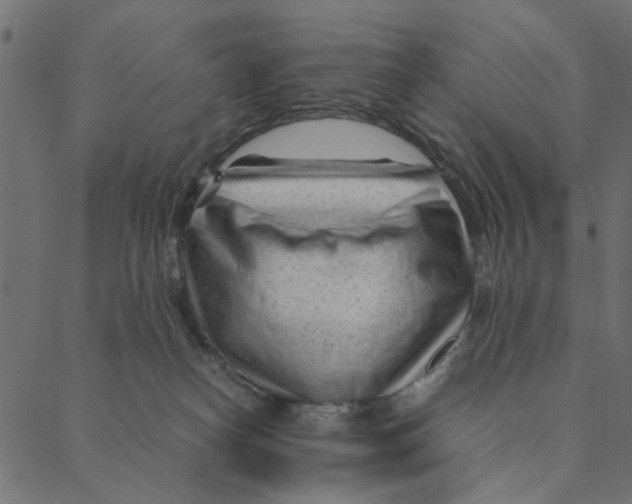 X0000087390182200705181316