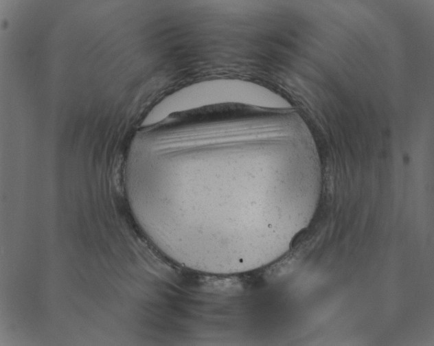 X0000087390185200705181316