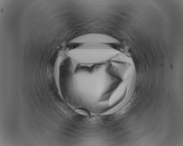 X0000087390186200705181316