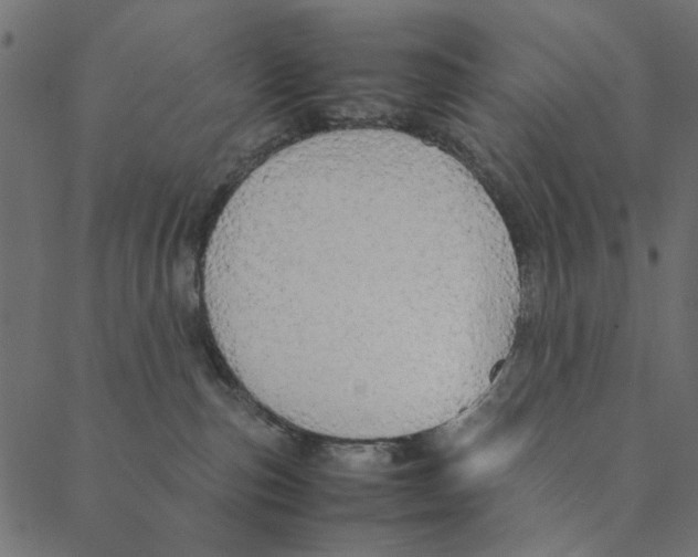 X0000087390187200705181316