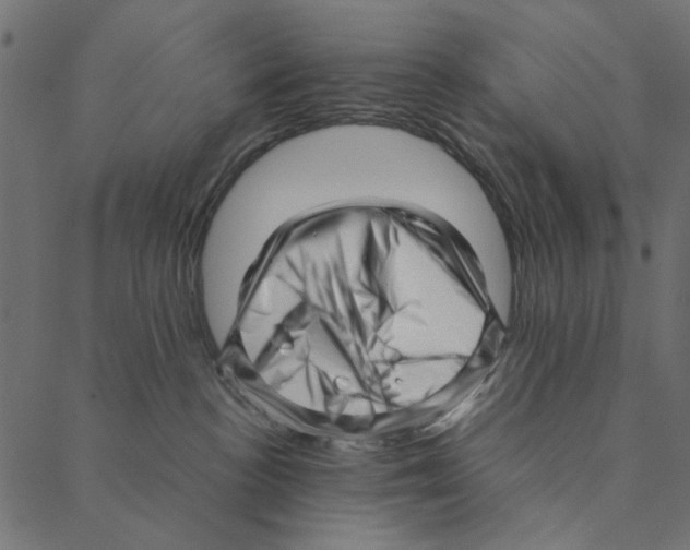 X0000087390188200705181316