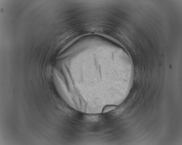 X0000087390189200705181316