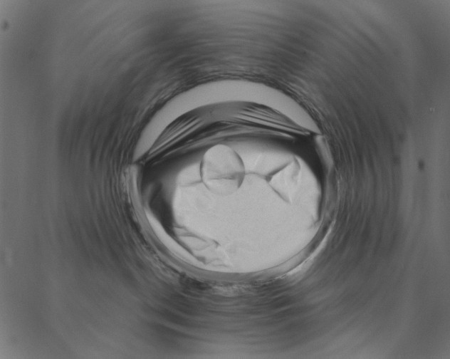 X0000087390190200705181316