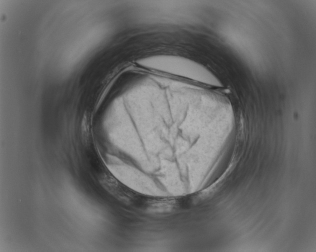 X0000087390191200705181316