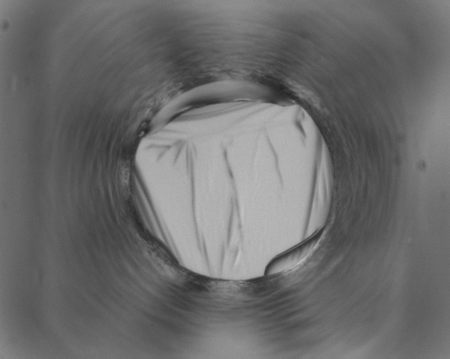 X0000087390192200705181316