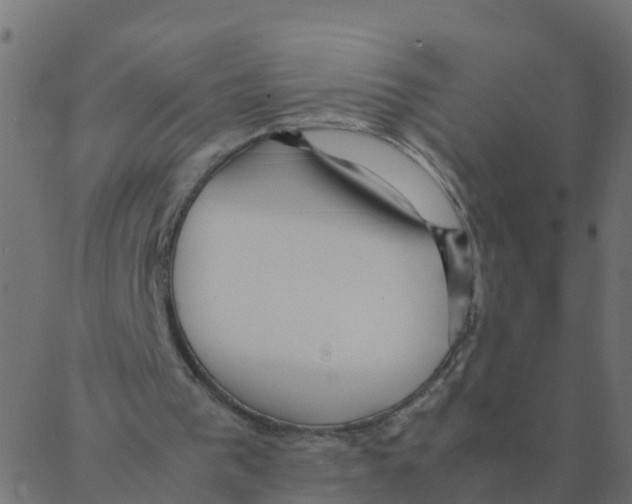 X0000087390193200705181316