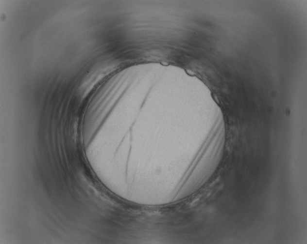 X0000087390194200705181316