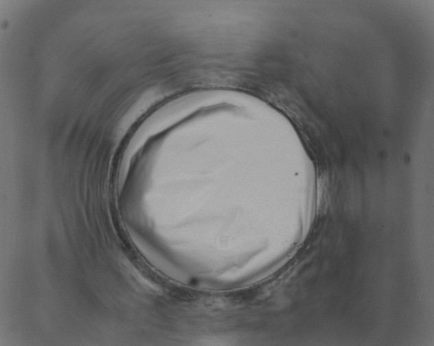 X0000087390195200705181316