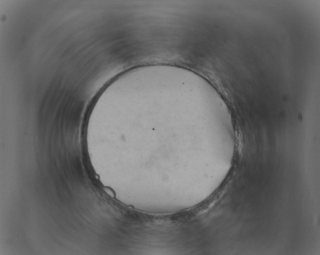 X0000087390196200705181316