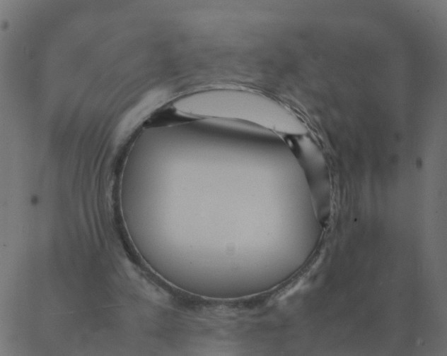 X0000087390197200705181316