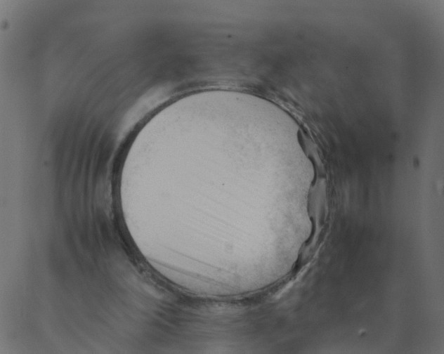 X0000087390198200705181316