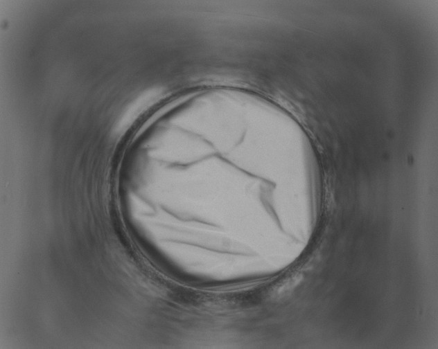 X0000087390199200705181316