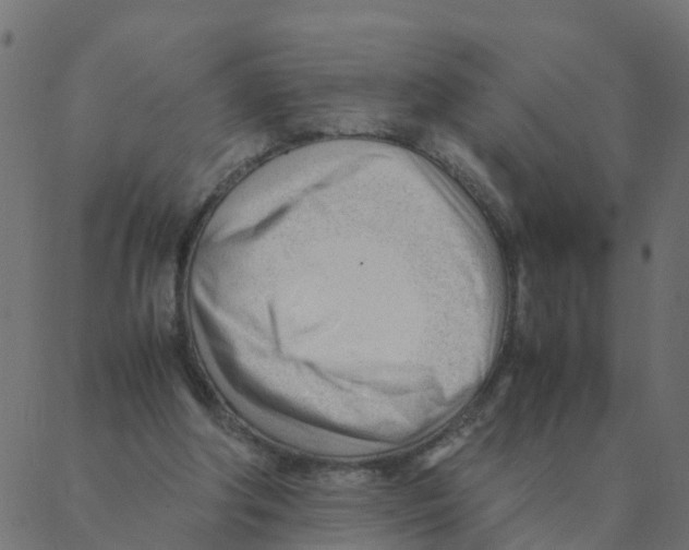 X0000087390202200705181316