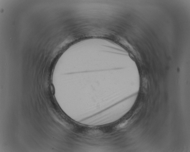 X0000087390203200705181315