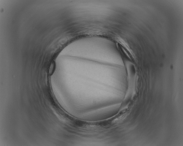 X0000087390205200705181315