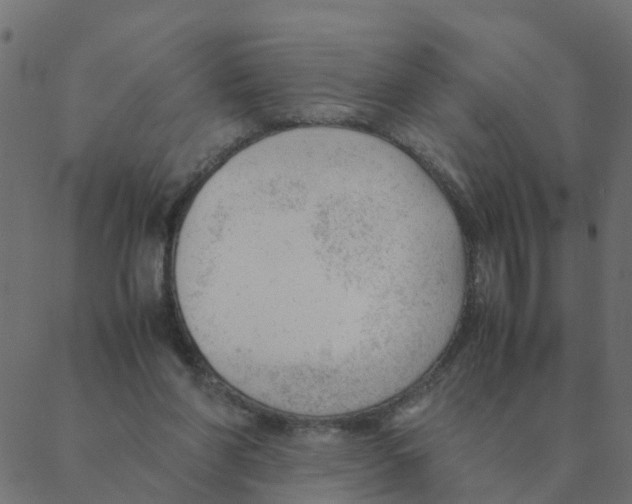 X0000087390206200705181315