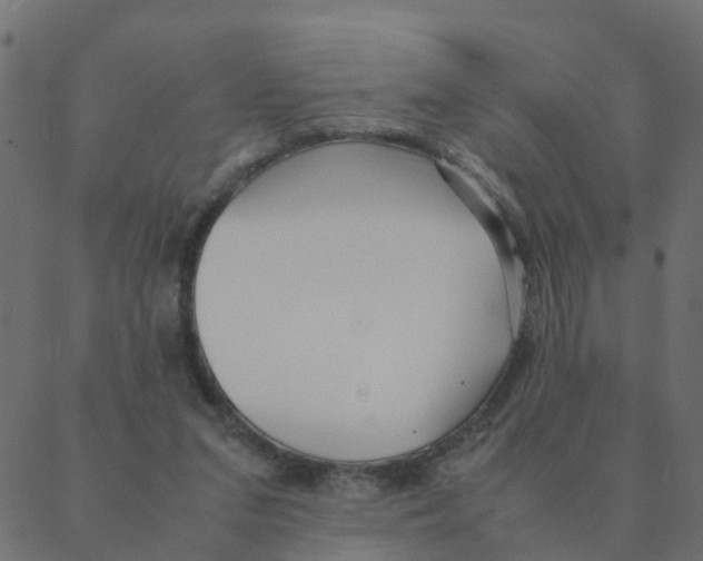 X0000087390207200705181315