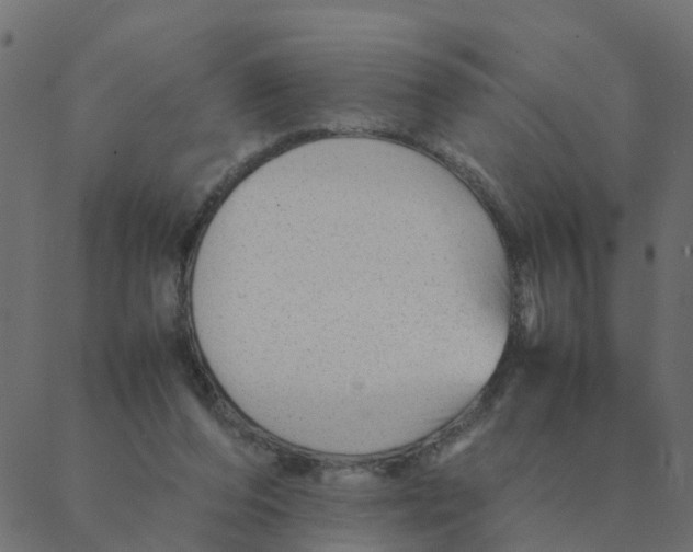 X0000087390208200705181315