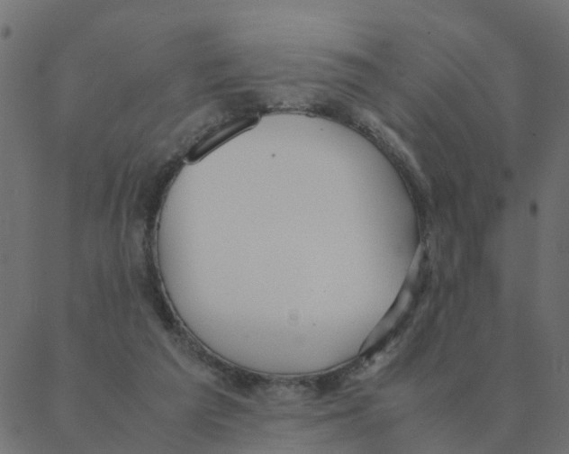 X0000087390209200705181315