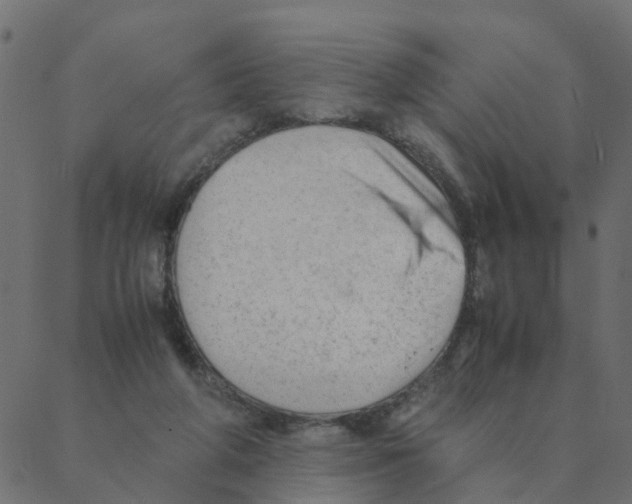 X0000087390210200705181315