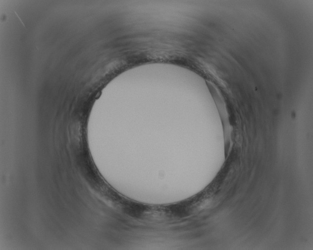 X0000087390211200705181315