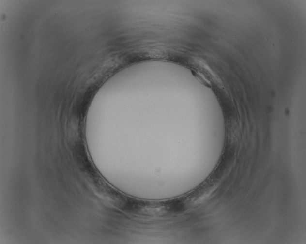 X0000087390213200705181315