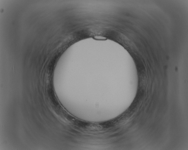 X0000087390215200705181315