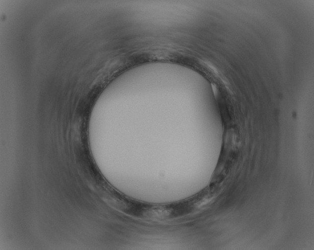 X0000087390217200705181315