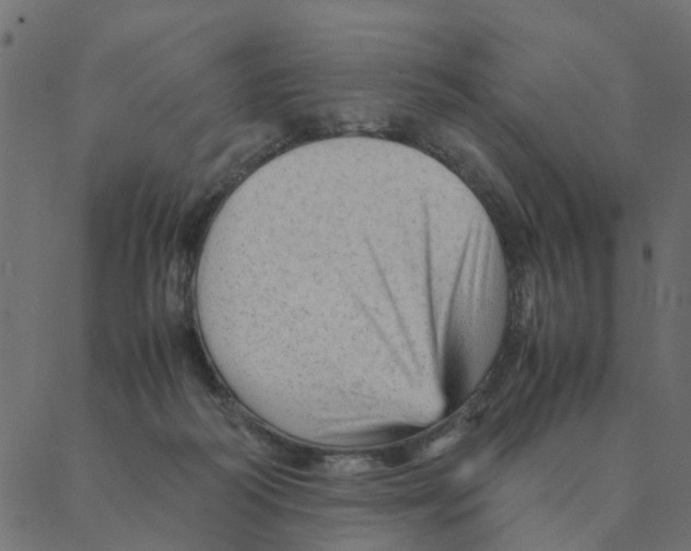 X0000087390218200705181315