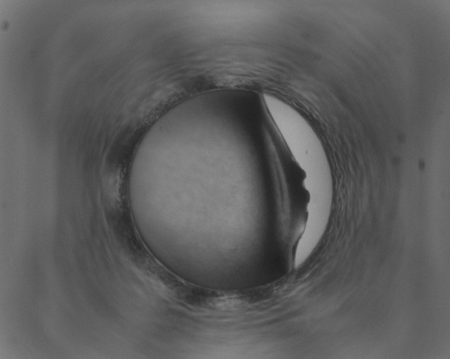 X0000087390219200705181315