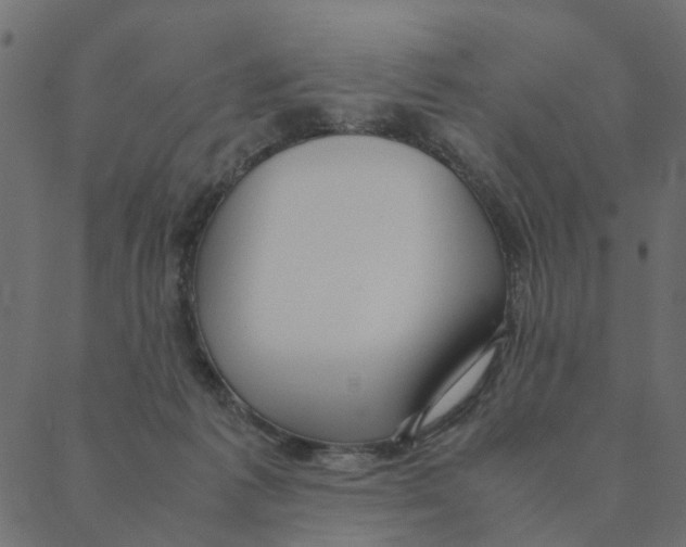 X0000087390221200705181315