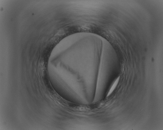 X0000087390223200705181315