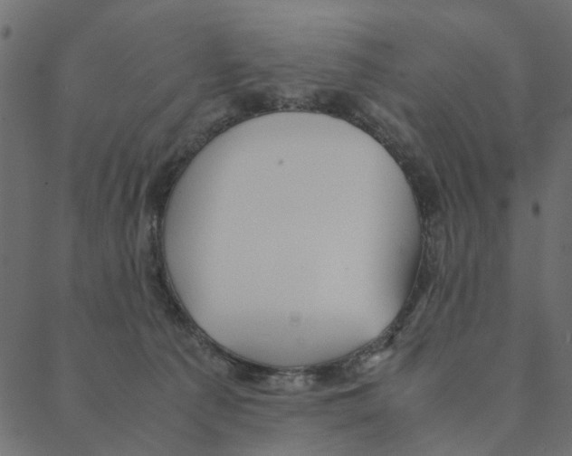 X0000087390225200705181315