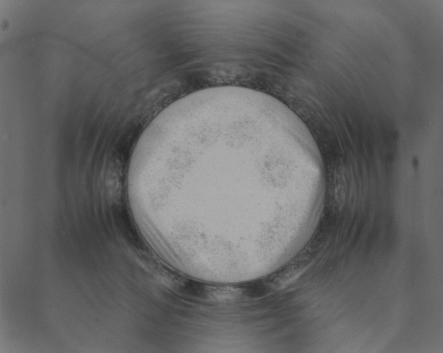 X0000087390226200705181315