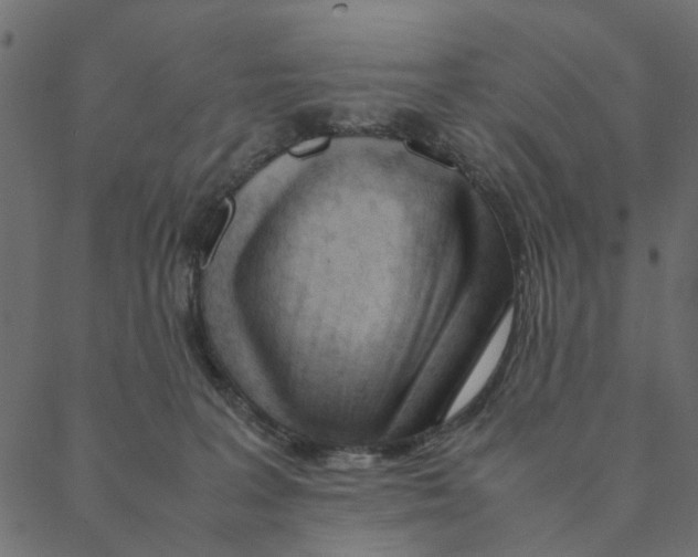 X0000087390227200705181315