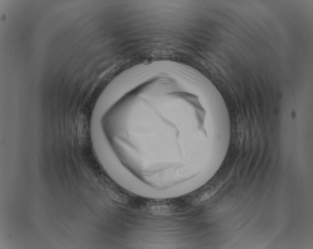 X0000087390228200705181315