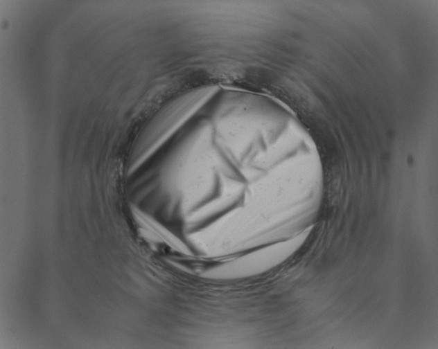 X0000087390229200705181315