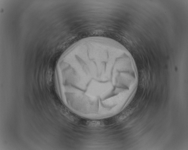 X0000087390230200705181315