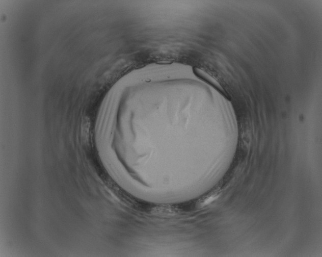 X0000087390231200705181315