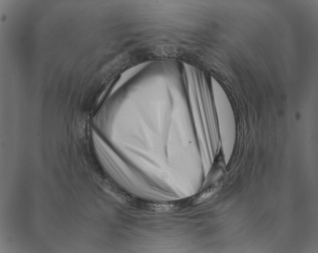 X0000087390233200705181315