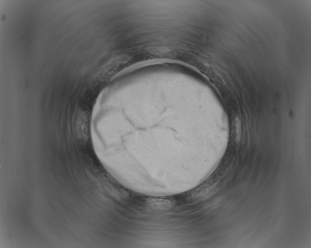 X0000087390234200705181315