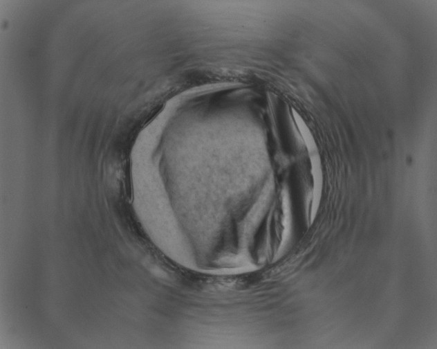 X0000087390235200705181315