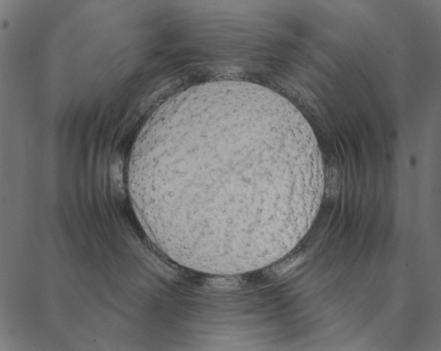 X0000087390238200705181315