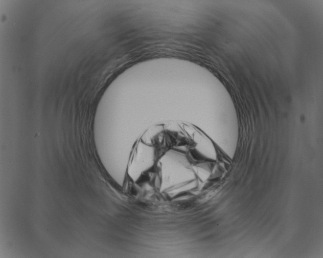 X0000087390239200705181315