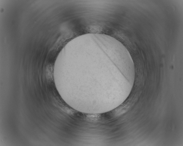 X0000087390240200705181315