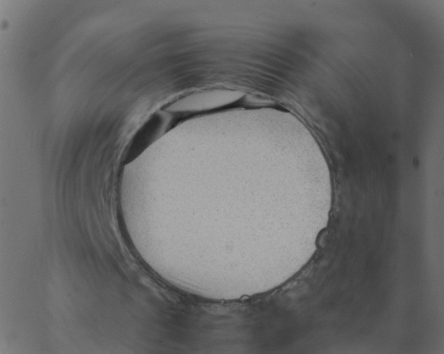 X0000087390241200705181314