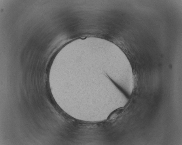 X0000087390243200705181314